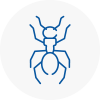 Ant Removals In North London
