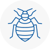 Bed Bug Extermination In North London