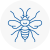 North London Hornet Nest Removals