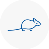Mice Exterminators In North London