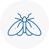 Moth Control Specialists In North London