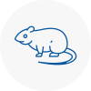 Rat Control North London