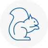 North London Rodent Removals
